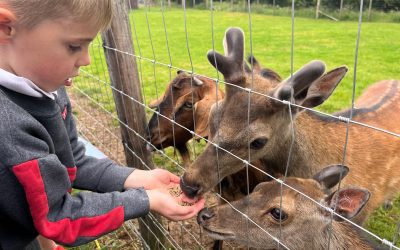 Na Naíonáin ar thuras scoile.